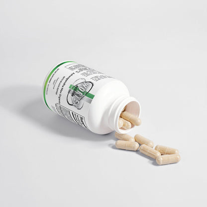 Ashwagandha Max Organic - Wortex Nutrition