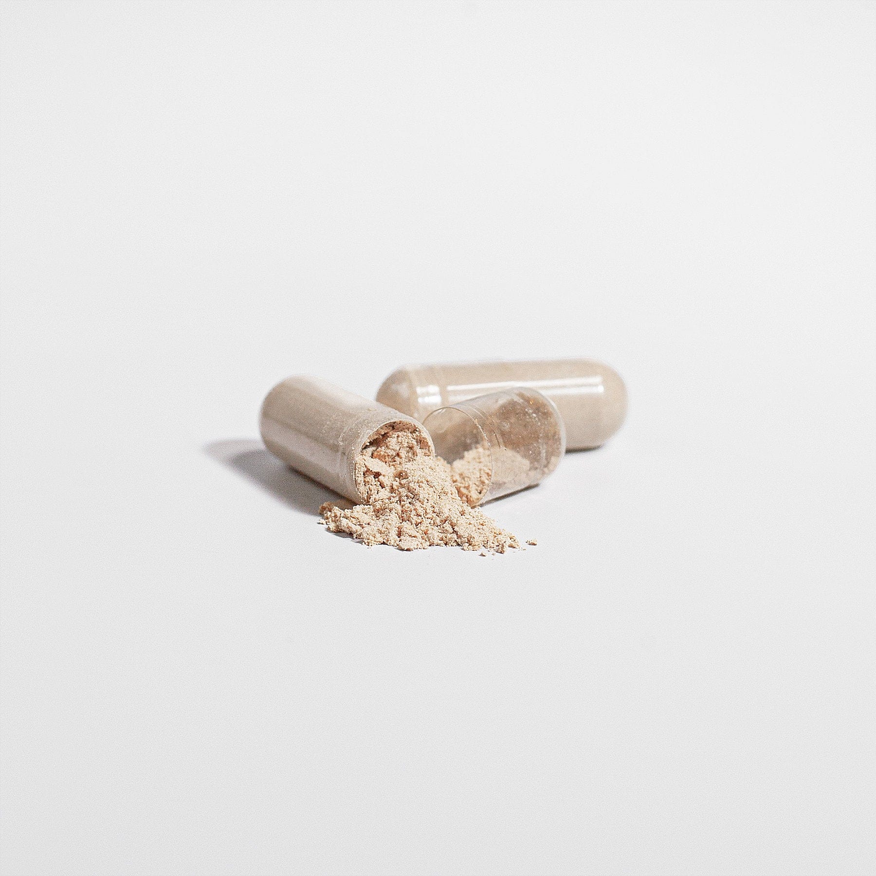 Vital Harmony ORGANIC Cordyceps - Wortex Nutrition